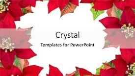  Presentation with white flower frame - Theme enhanced with christmas frame from red poinsettias background and a white colored foreground
