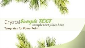  Presentation with framework - PPT theme enhanced with christmas framework background and a cream colored foreground
