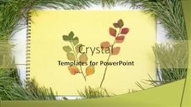  Presentation with christmas card - PPT layouts having christmas-greeting-card-fir-branch background and a blonde colored foreground