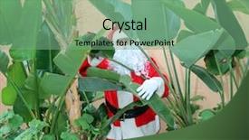  Presentation with santa claus holding scroll paper - Beautiful slides featuring christmas hawaii - santa claus hides behind bird backdrop and a seafoam green colored foreground