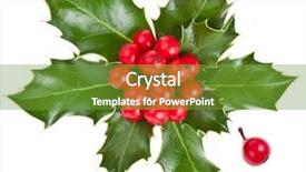  Presentation with holly christmas frame - Slide deck having christmas ilex holly with red background and a tawny brown colored foreground