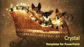  Presentation with glow - PPT theme featuring christmas image of three chihuahuas background and a tawny brown colored foreground