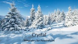  Presentation with happy new year - PPT theme consisting of christmas journey - majestic white spruces glowing background and a light blue colored foreground