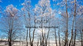  Presentation with fairy tale - Slide deck with christmas journey to the fairy tale transparent cold air of birch grove under the snow the cold northern sun is above the horizon the concept of extreme tourism background and a light blue colored foreground