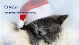  Presentation with kitten - Amazing slide deck having christmas kitten backdrop and a sky blue colored foreground