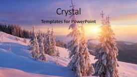  Presentation with winter landscape winter tree - Cool new presentation theme with christmas landscape spruce forest backdrop and a teal colored foreground