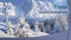  Presentation with winter landscape winter tree - Beautiful theme featuring christmas landscape spruce forest backdrop and a light blue colored foreground