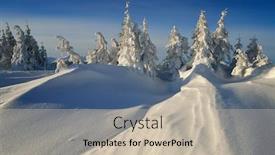  Presentation with winter wonderland - Colorful slides enhanced with christmas landscape winter wonderland snow-covered trees in a mountain forest backdrop and a soft green colored foreground