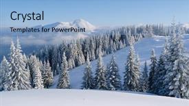  Presentation with snow tree - Slides with christmas landscape with fir tree background and a light blue colored foreground