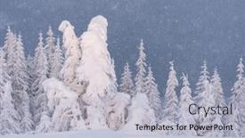  Presentation with snow tree - Slides consisting of christmas-landscape-with-fir-tree background and a light blue colored foreground