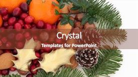  Presentation with spruce - Presentation design consisting of christmas mandarin and cranberry fruit arrangement with almond and hazel nuts gold holly ivy and pine cones with blue spruce fir over white background background and a tawny brown colored foreground