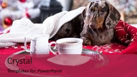  Presentation with next year - PPT layouts enhanced with christmas morning next background and a red colored foreground