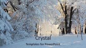  Presentation with forest morning - Cool new slides with beautiful young woman holding exotic fruits isolated on white backdrop and a lemonade colored foreground