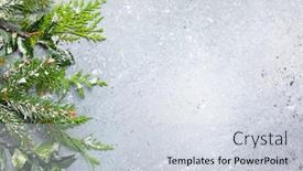  Presentation with winter border - Cool new PPT layouts with christmas or winter background with a border of green and frosted evergreen branches on a grey vintage board backdrop and a sky blue colored foreground