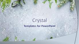  Presentation with winter border - Cool new presentation design with christmas or winter background with a border of green and frosted evergreen branches on a grey vintage board flat lay winter concept with copy space backdrop and a sky blue colored foreground