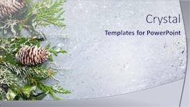  Presentation with winter border - Amazing PPT theme having christmas-or-winter-background backdrop and a sky blue colored foreground