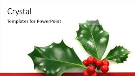  Presentation with holly - Slides having christmas ornament border with holly background and a white colored foreground