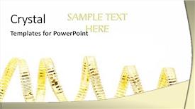  Presentation with white gold wedding - Colorful presentation enhanced with guies - cinammon twigs chinese herbal medicine backdrop and a lemonade colored foreground.