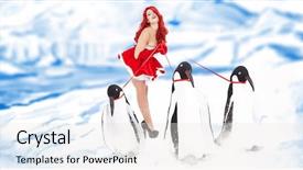  Presentation with fashion - Theme having christmas penguins - pin-up fashion woman with penguin background and a white colored foreground