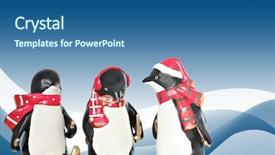  Presentation with christmas in july - Cool new presentation theme with christmas penguins backdrop and a ocean colored foreground