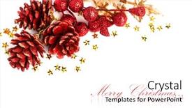  Presentation with holly - Amazing slides having christmas pinecone with european holly backdrop and a white colored foreground