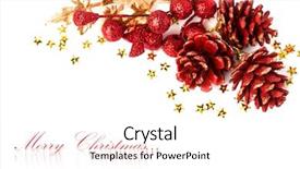  Presentation with christmas holly - Colorful PPT theme enhanced with christmas pinecone with european holly backdrop and a pink colored foreground