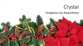  Presentation with flower border - Amazing presentation having christmas poinsettia flower background border backdrop and a white colored foreground