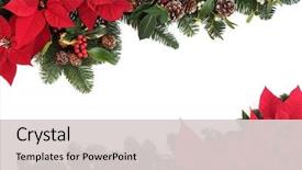  Presentation with flower border - Slides enhanced with christmas poinsettia flower background border background and a light gray colored foreground