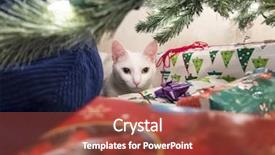 Presentation with christmas presents - PPT theme with christmas presents under a tree with a cat in the background background and a red colored foreground