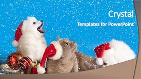  Presentation with animals - Presentation consisting of blooming purple flowers isolated on background and a tawny brown colored foreground