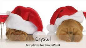  Presentation with cocktail - Presentation theme enhanced with christmas puppy - santa dogue de background and a coral colored foreground