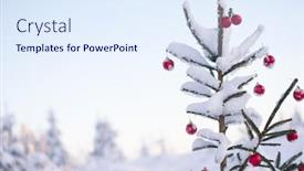  Presentation with christmas red - Cool new presentation theme with christmas-red-balls-on-pine backdrop and a sky blue colored foreground