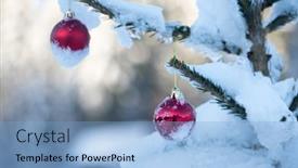  Presentation with christmas red - Presentation theme featuring christmas-red-balls-on-pine background and a light blue colored foreground