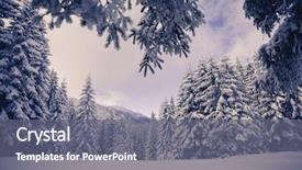  Presentation with snow covered trees and falling - Beautiful slides featuring concept isolated over white background backdrop and a light gray colored foreground