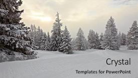  Presentation with winter evergreen forest - Amazing PPT theme having christmas scene - forest in winter covered backdrop and a light gray colored foreground