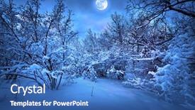  Presentation with winter scene - PPT layouts enhanced with christmas scene - moonlight night in winter wood background and a teal colored foreground