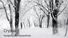  Presentation with forest winter - Amazing slides having christmas scene - panorama of winter forest backdrop and a light gray colored foreground