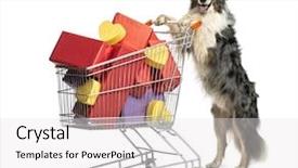  Presentation with australian - Colorful theme enhanced with christmas shepherds - australian shepherd pushing a shopping backdrop and a white colored foreground