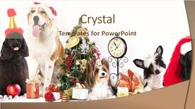  Presentation with dogs - Slide deck enhanced with christmas shepherds - group of dogs wearing background and a cream colored foreground