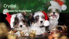  Presentation with catholic history santa maria - Audience pleasing PPT theme consisting of book for drawing artistic tools backdrop and a  colored foreground.