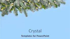  Presentation with new season - PPT theme having christmas-snow-fir-mistletoe-background background and a light blue colored foreground