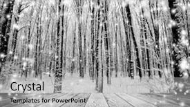  Presentation with timber wood wood texture wood - Beautiful theme featuring christmas snow on the wood backdrop and a light gray colored foreground