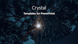  Presentation with christmas tree - PPT theme enhanced with christmas-star-shines-through and a wine colored foreground