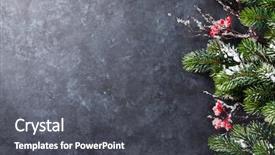  Presentation with snow tree - Slides having christmas stone background with snow background and a dark gray colored foreground