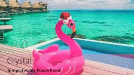  Presentation with summer christmas - Audience pleasing PPT layouts consisting of christmas-summer-vacation-pool-float backdrop and a coral colored foreground