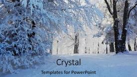  Presentation with forest morning - Audience pleasing PPT theme consisting of christmas sunny morning rolled ski road in pine forest backdrop and a teal colored foreground