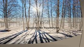  Presentation with horizon - Amazing slides having christmas transparent cold air of birch grove under the snow winter in the arctic the cold northern sun is above the horizon the concept of extreme tourism backdrop and a mint green colored foreground