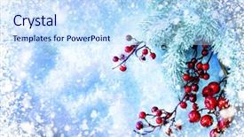  Presentation with holly christmas frame - Cool new PPT theme with christmas tree and decorations backdrop and a sky blue colored foreground