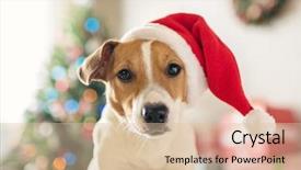  Presentation with russell - Colorful presentation theme enhanced with christmas tree and gifts wishes backdrop and a lemonade colored foreground