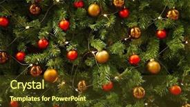  Presentation with christmas tree - Colorful presentation design enhanced with christmas tree background backdrop and a tawny brown colored foreground